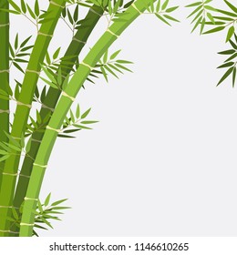 bamboo plant on white background illustration