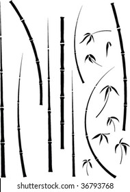 bamboo plant parts