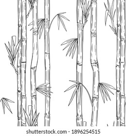 Bamboo plant. Seamless pattern. Black outline on transparent background. Hand drawn vector illustration