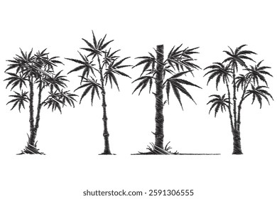 bamboo plant silhouettes, tropical tree graphics, asian nature design