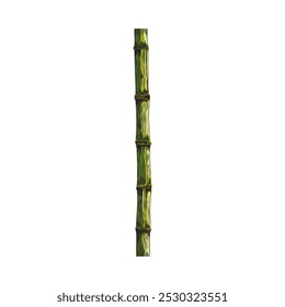 Bamboo plant stalk piece color sketch icon. Hand drawn Asian nature floral design element. East tropical forest Bamboo stem stick. Vector illustration isolated on white