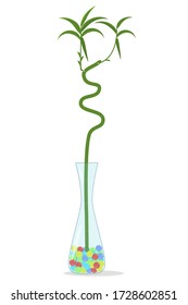 Bamboo plant in a vase. Vector image on a white background. Isolated bamboo plant at home