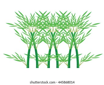 bamboo plant vector design