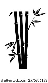 Bamboo plant vector for your design needs