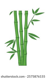 Bamboo plant vector for your design needs