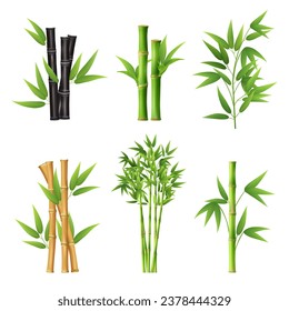 Plantas de bambú. Plantillas de ilustración realistas de diferentes colores de bambú con imágenes vectoriales decentes