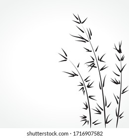 Bamboo Plants, Vector Freehand Drawing Style Illustration