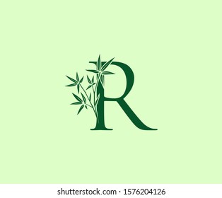 Bamboo R Letter logo icon design
