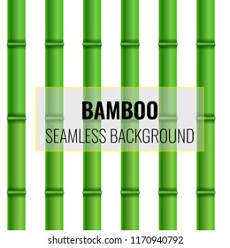 Bamboo Seamless background pattern. Realistic Vector illustration.