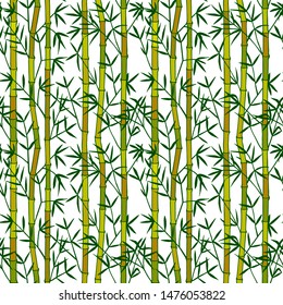 Bamboo seamless pattern, eps10 vector illustration. hand drawing