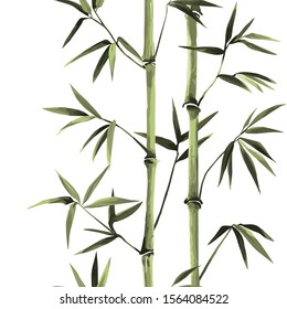 Bamboo Seamless Vertical Border on white background