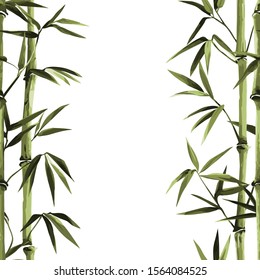 Bamboo Seamless Vertical Border on white background