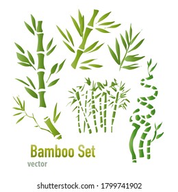 Bamboo set. Vector illustration of bamboo green leaves, branches and forest. Chinese plant, tree silhouette. 