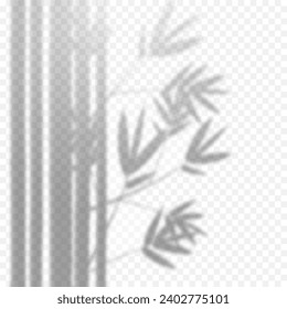 Bamboo shadows. Decorative plant shadows. Isolated on transparent background. 