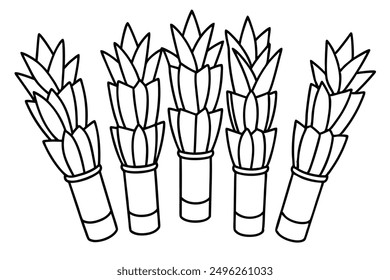 Bamboo Shoot Line Art Visuals