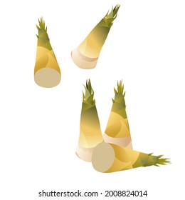 Bamboo shoot, Set of bamboo shoot on white background, vector illustration.