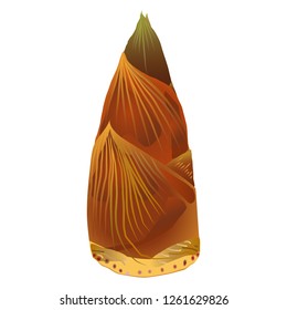 The bamboo shoots
