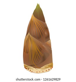 The bamboo shoots