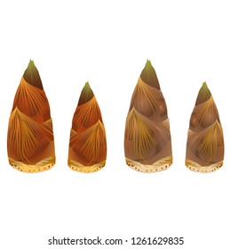 The bamboo shoots