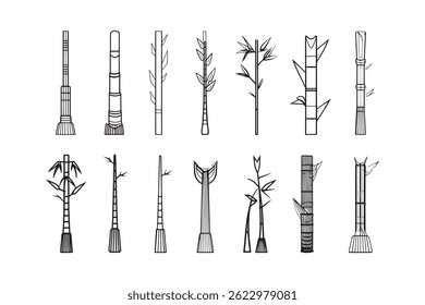 The  Bamboo shoots sketch illustration