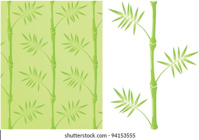 bamboo shoots with three branches on a white background to create wallpapers
