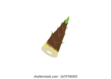 Bamboo Shoots Vector Illustration Of Vegetable