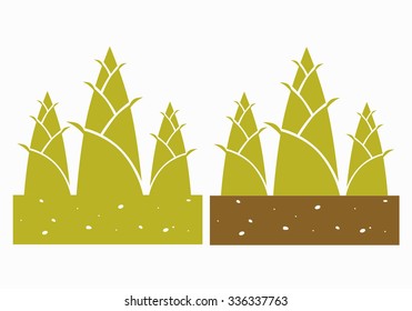 bamboo shoots,vector illustration