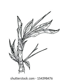 bamboo simple green drawing