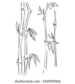bamboo sketchers. Vector illustration for design. Black and white clip art isolated on white background. Antique vintage engraving illustration.