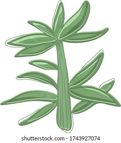 Bamboo sprout with leaves and texture vector image
