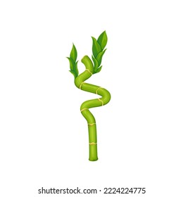Bamboo sprout with leaves vector illustration. Cartoon isolated green leaf growing on stalk of bamboo plant, botanical growth of tree in tropical nature, exotic oriental garden or natural rainforest
