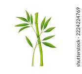 Bamboo stalk and branch with green leaves vector illustration. Cartoon isolated leaf growing on stem and vertical stick of tropical grass, decorative plant for floral decoration, oriental garden