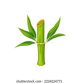 Bamboo stalk with green leaves vector illustration. Cartoon isolated two stick segments cut from fresh bamboo grass plant, leaf growing on stem, bamboo foliage from Japanese, Thai or Chinese jungle