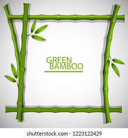 Bamboo steam frame vector 