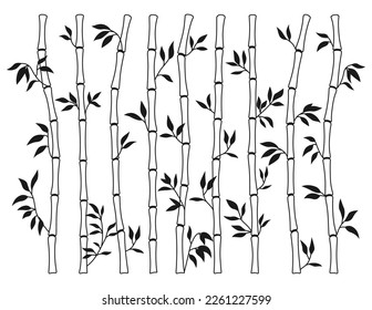 Bamboo stem and leaf outline borders set. Exotic decoration elements fresh natural plant in line sketch style. Hand drawing painted Asian traditional tree leaves, sticks bamboo botanical collection