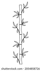 Bamboo stem and leaves Black outline Hand drawn vector illustration Isolated on white background