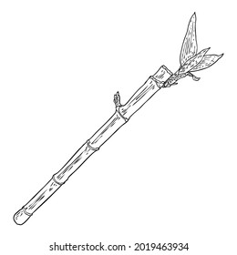Bamboo stem with leaves. Japanese or Chinese plant drawing style sketch element. Asian jungle forest tree. Stick branch with leaves. Bamboo grass oriental tropical plant twig. Vector.  