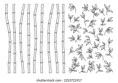 Bamboo stem and leaves outline border set. Exotic decoration elements fresh natural plant linear sketch style. Hand drawing painted Asian traditional tree leaves, sticks bamboo botanical collection
