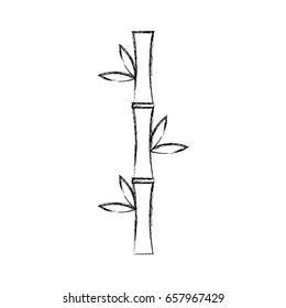 bamboo stem natural icon