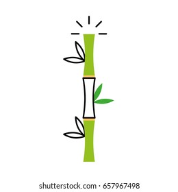 bamboo stem natural icon