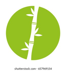 bamboo stem natural icon