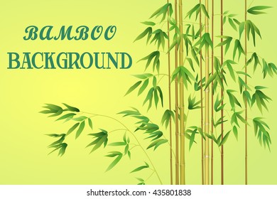 Bamboo Stems with Green Leaves on a Yellow Background. Vector
