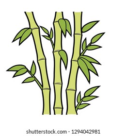 Bamboo stems and leaves