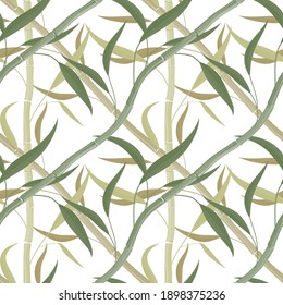 bamboo stems and leaves arranged in a diagonal grid, a seamless pattern for printing on wrapping paper, fabric or wallpaper. Decorative drawing, vector illustration on a white background.