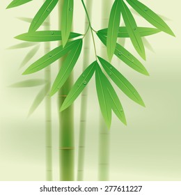 Bamboo stems and leaves on light green background. Vector illustration