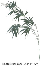 bamboo stems with leaves on white background