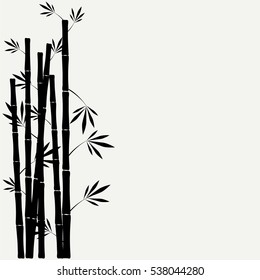 bamboo stems with leaves on white background
