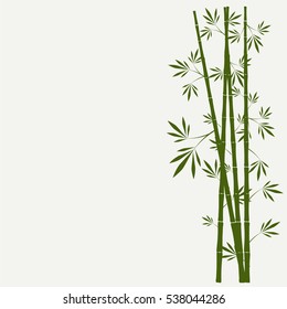 bamboo stems with leaves on white background
