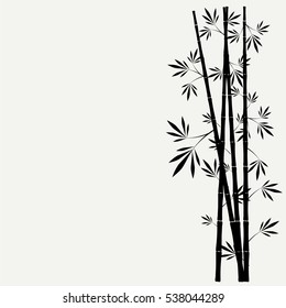 bamboo stems with leaves on white background
