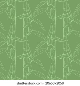 Bambus stimmt mit Blättern nahtloses Muster. Der Hintergrund ist handgraviert, Skizze. Botanische Vorlage für Tapete, Verpackung, Stoff und Design, Vektorgrafik.